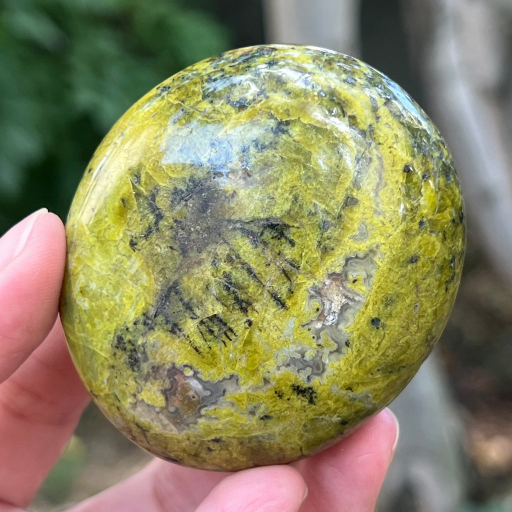 Opal verde palmstone m9, pietre semipretioase - druzy.ro 1 