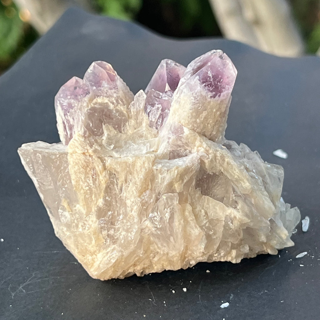 Cluster ametist sweet model 5a/8, din Zambia, pietre semipretioase - druzy.ro 6