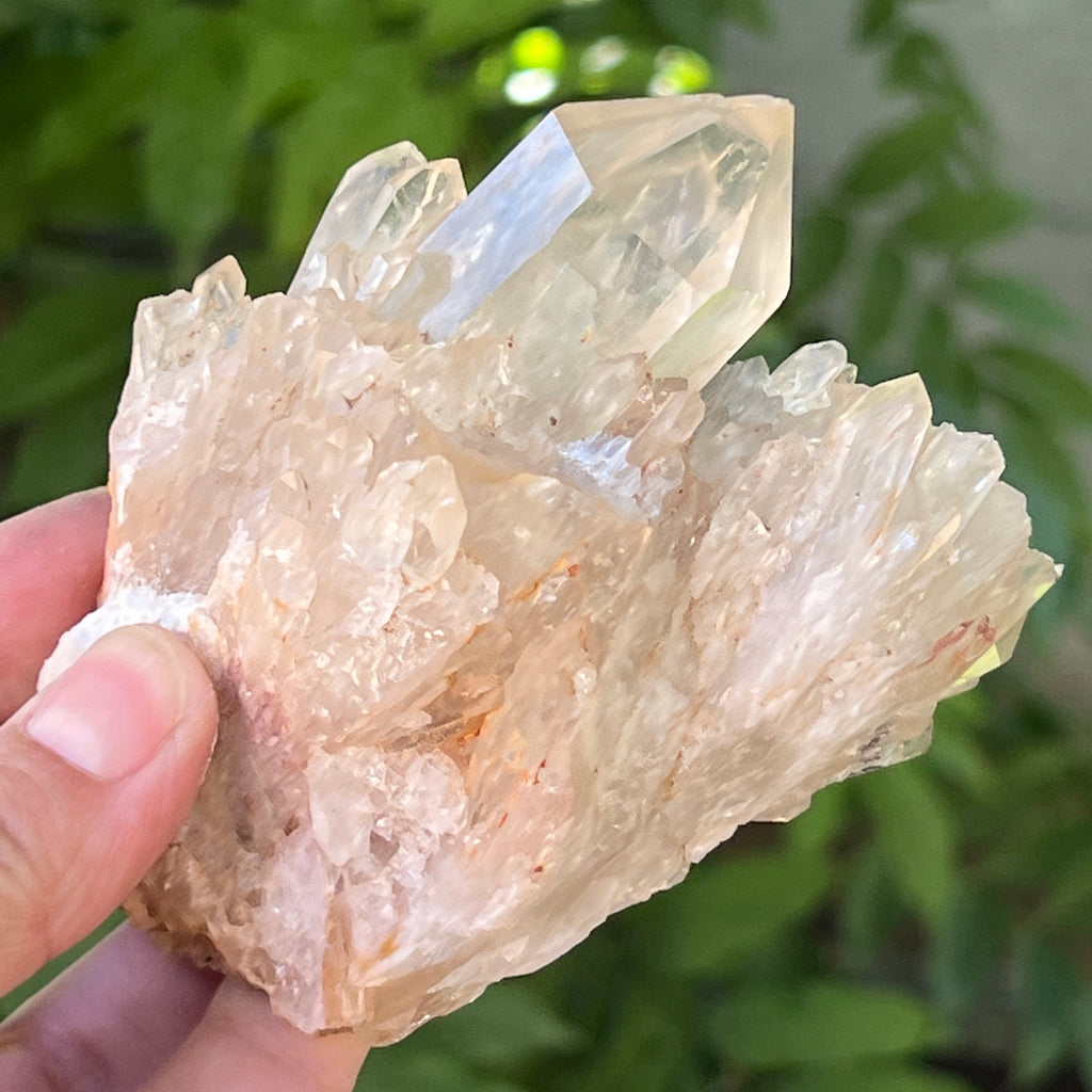 Citrin din Congo – specimen natural, netratat | Model 11, pietre semipretioase - druzy.ro 8 