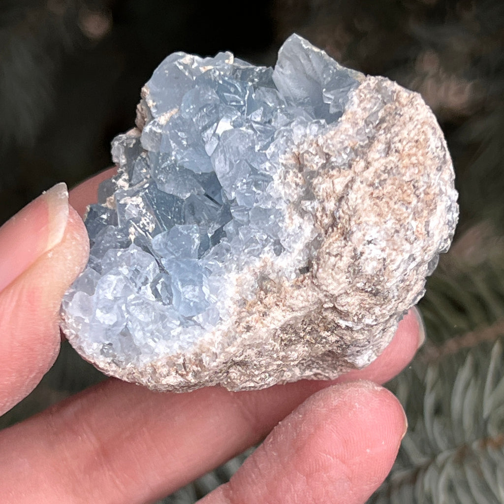 Celestit / celestina cluster m8, pietre semipretioase - druzy.ro 4 