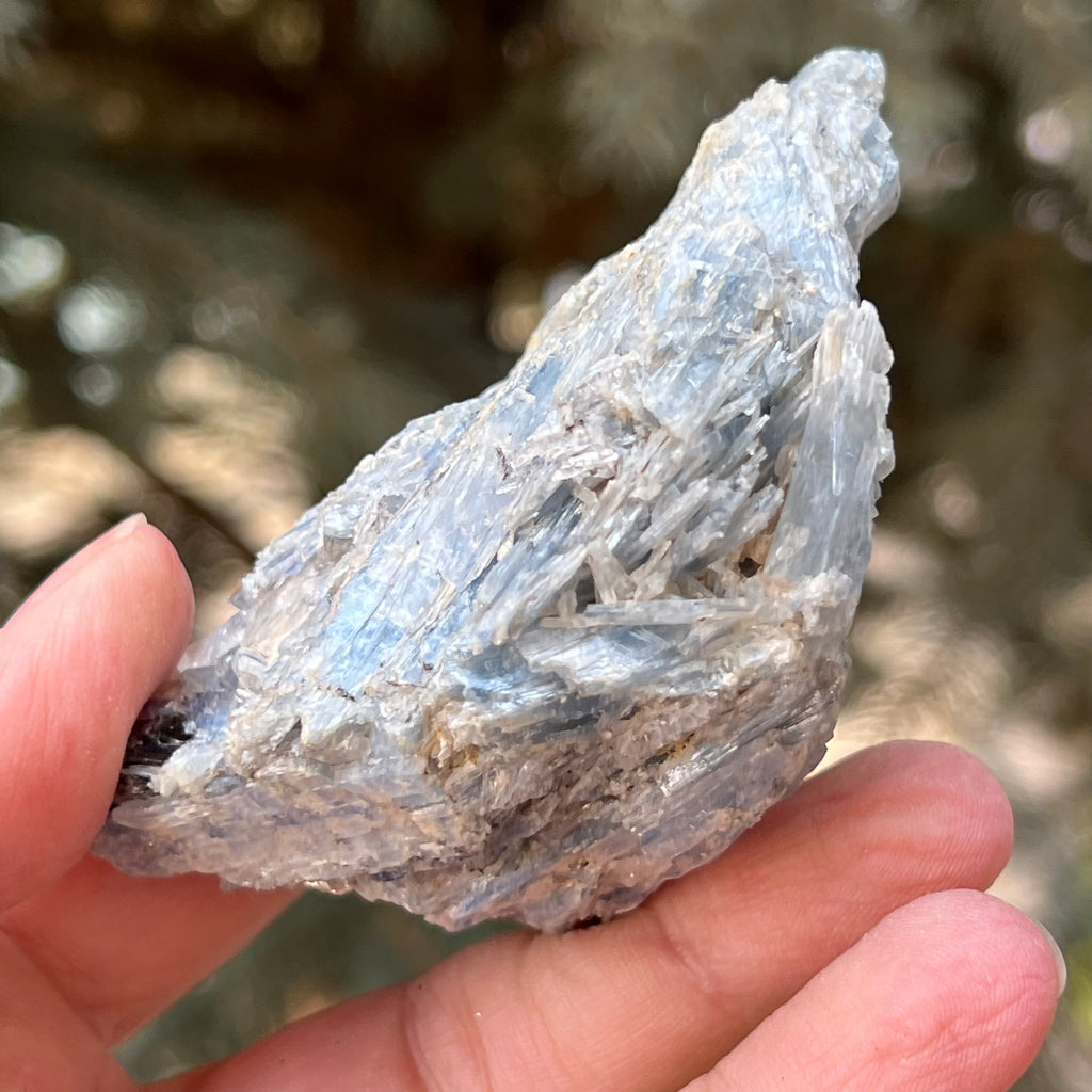 Kianit albastru (Cianit) piatra bruta din Zimbabwe model 10, druzy.ro, cristale 4