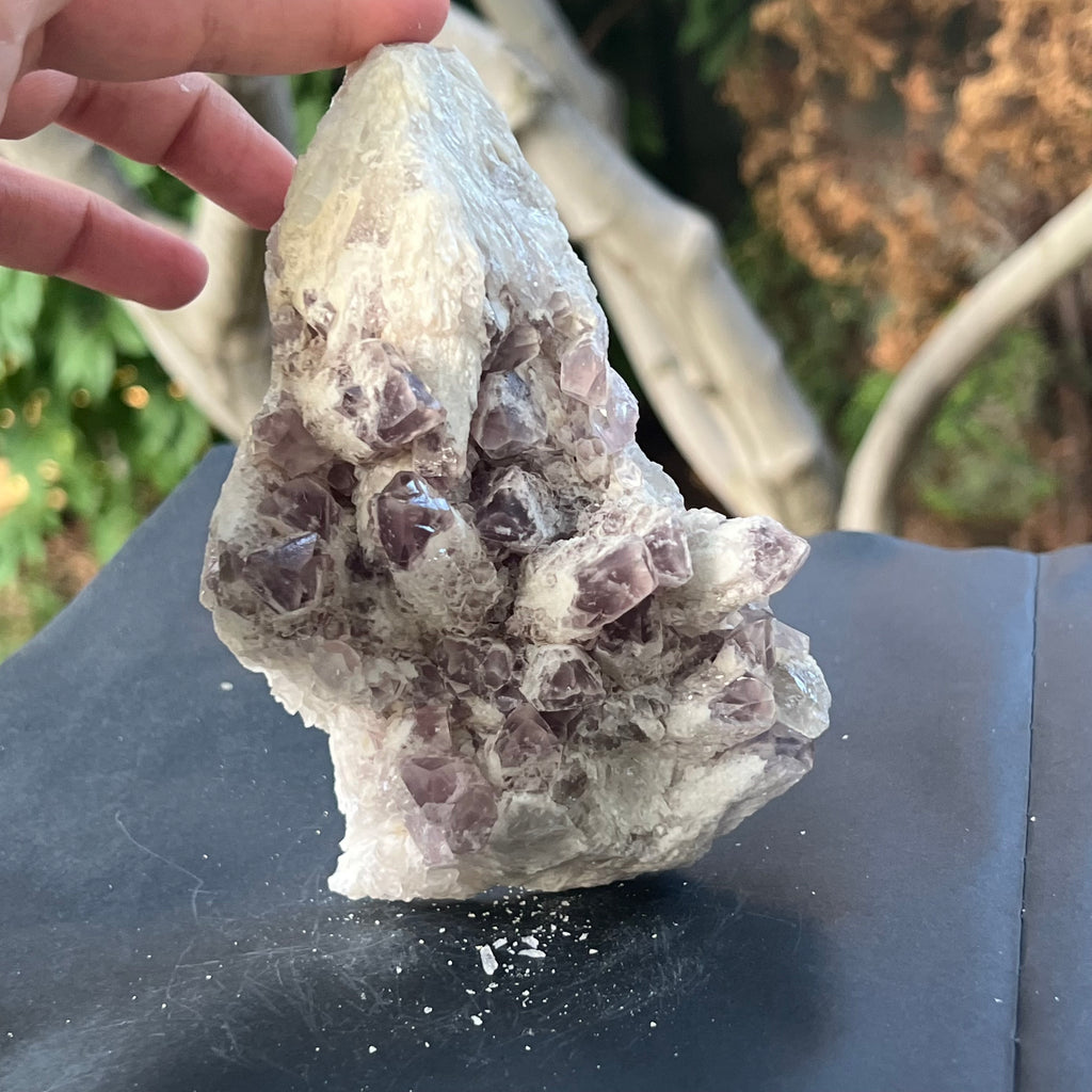 Cluster ametist sweet model 5a/10, din Zambia, druzy.ro, cristale 3