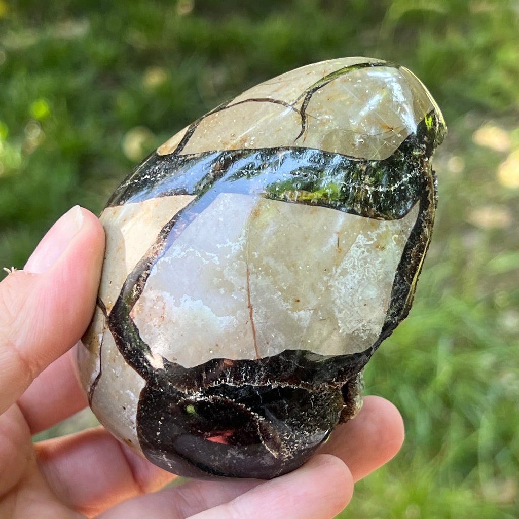 Ou Septaria din Madagascar , piatra dragonului | Model 10, pietre semipretioase - druzy.ro 7 