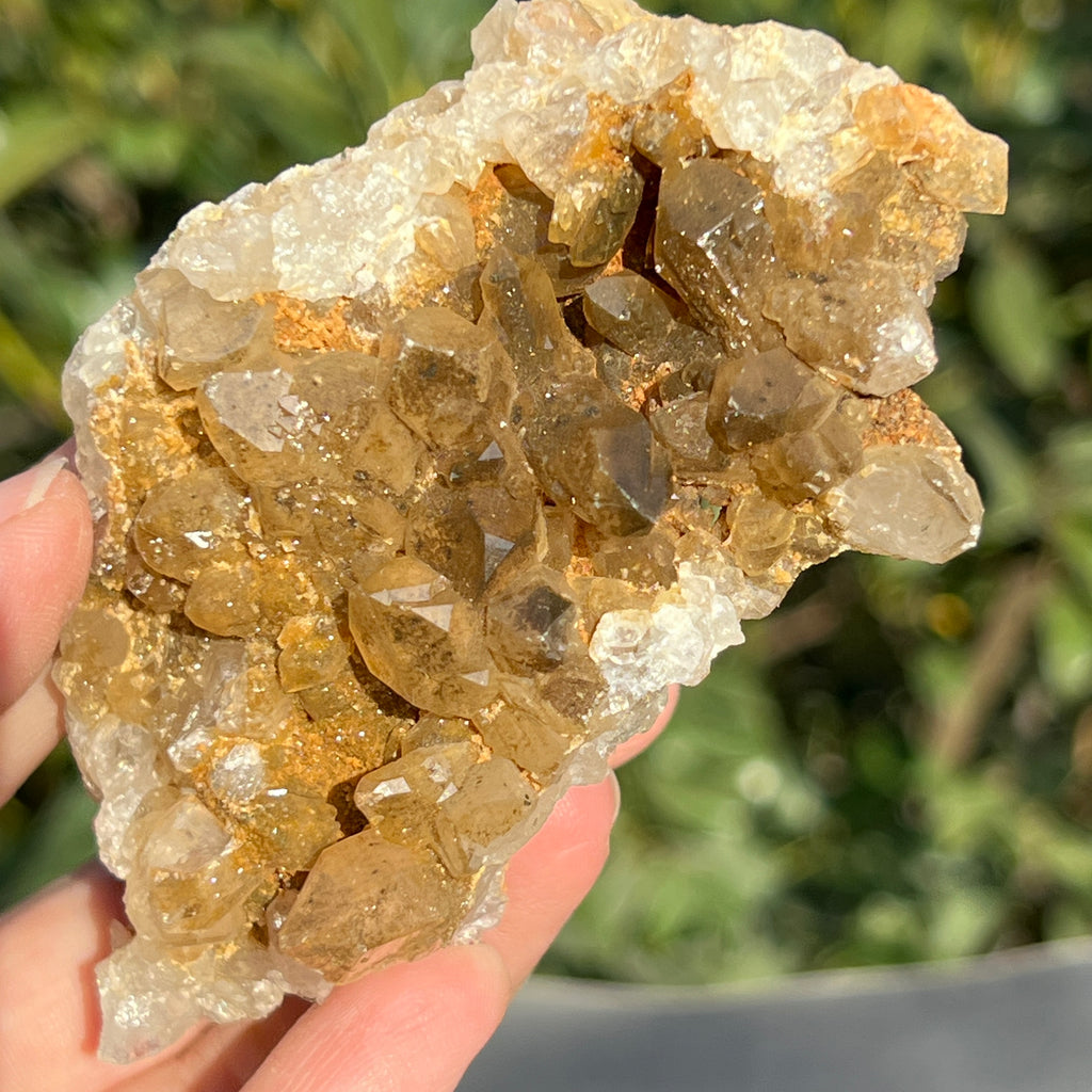 Cluster cuart lamaie Zambia, golden healer model 40, pietre semipretioase - druzy.ro 1 