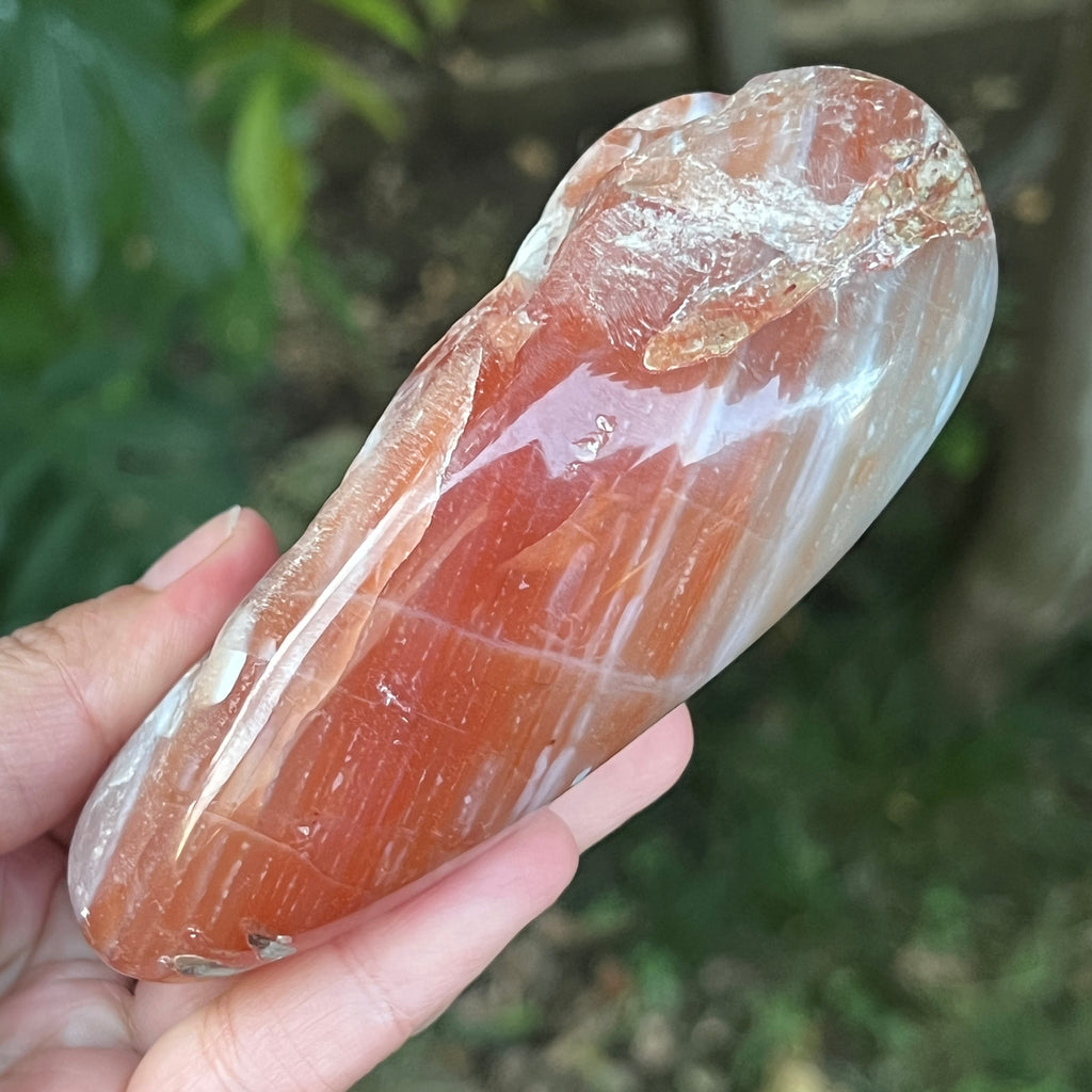 Nodul agat de Botswana, agat river, unicat | Model XL4, pietre semipretioase - druzy.ro 6 