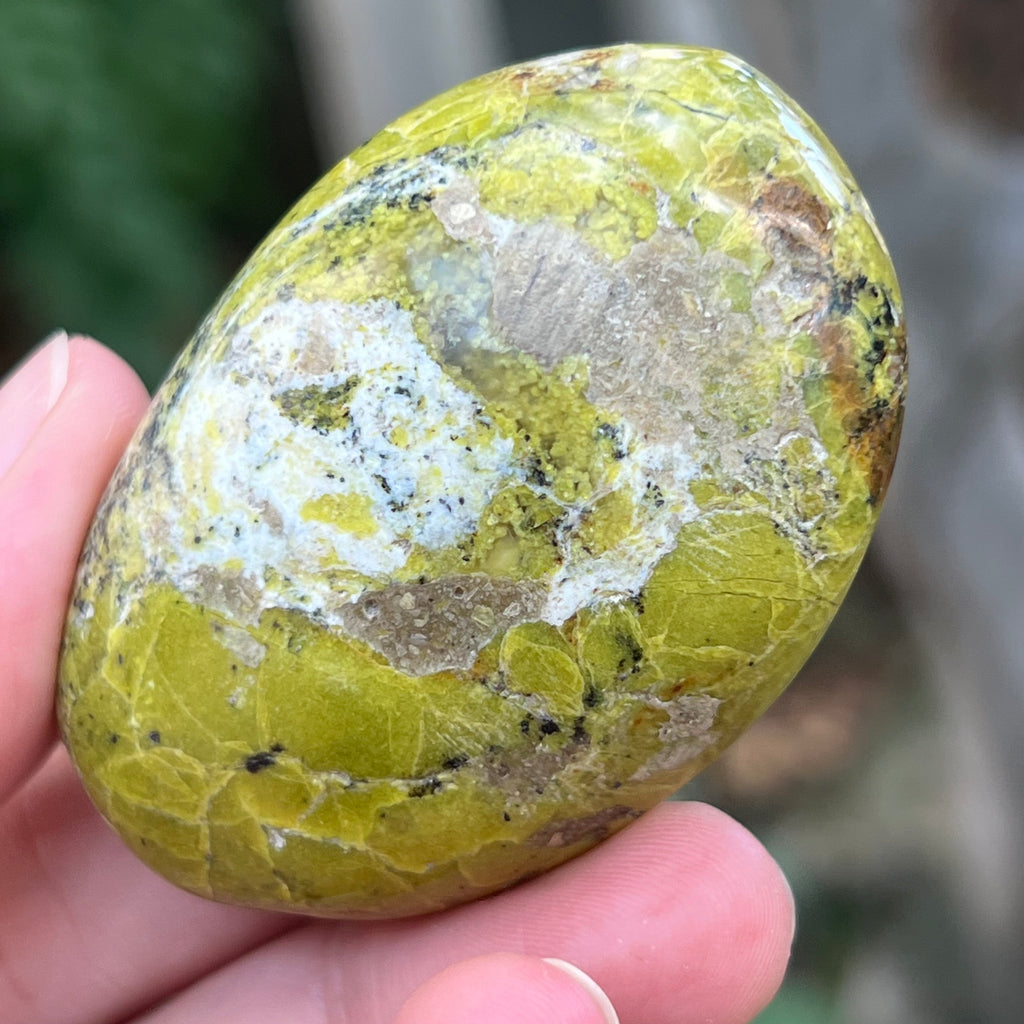 Opal verde palmstone m12, pietre semipretioase - druzy.ro 5 