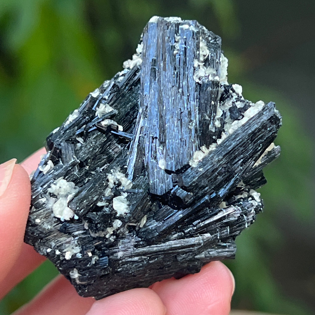 Cluster turmalina neagra cu vermiculita din Erongo m15, pietre semipretioase - druzy.ro 1 