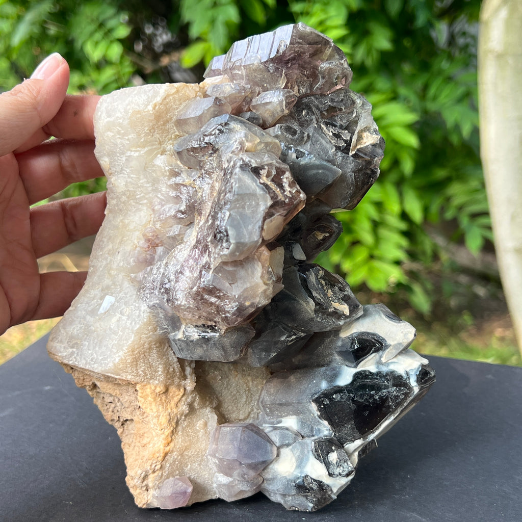 Specimen cluster cuart fumuriu m2, pietre semipretioase - druzy.ro 7 