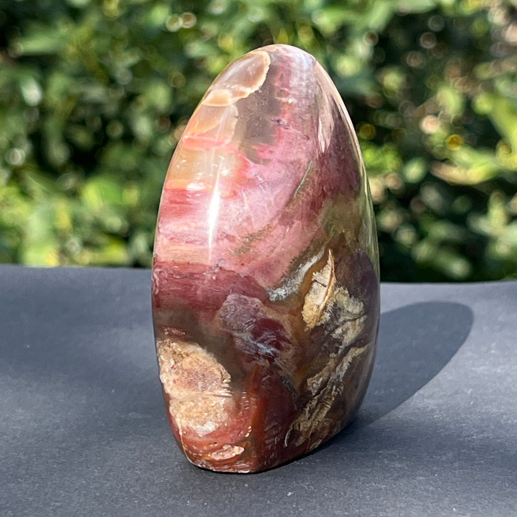 Lemn pietrificat sculptura model 2, pietre semipretioase - druzy.ro 3 