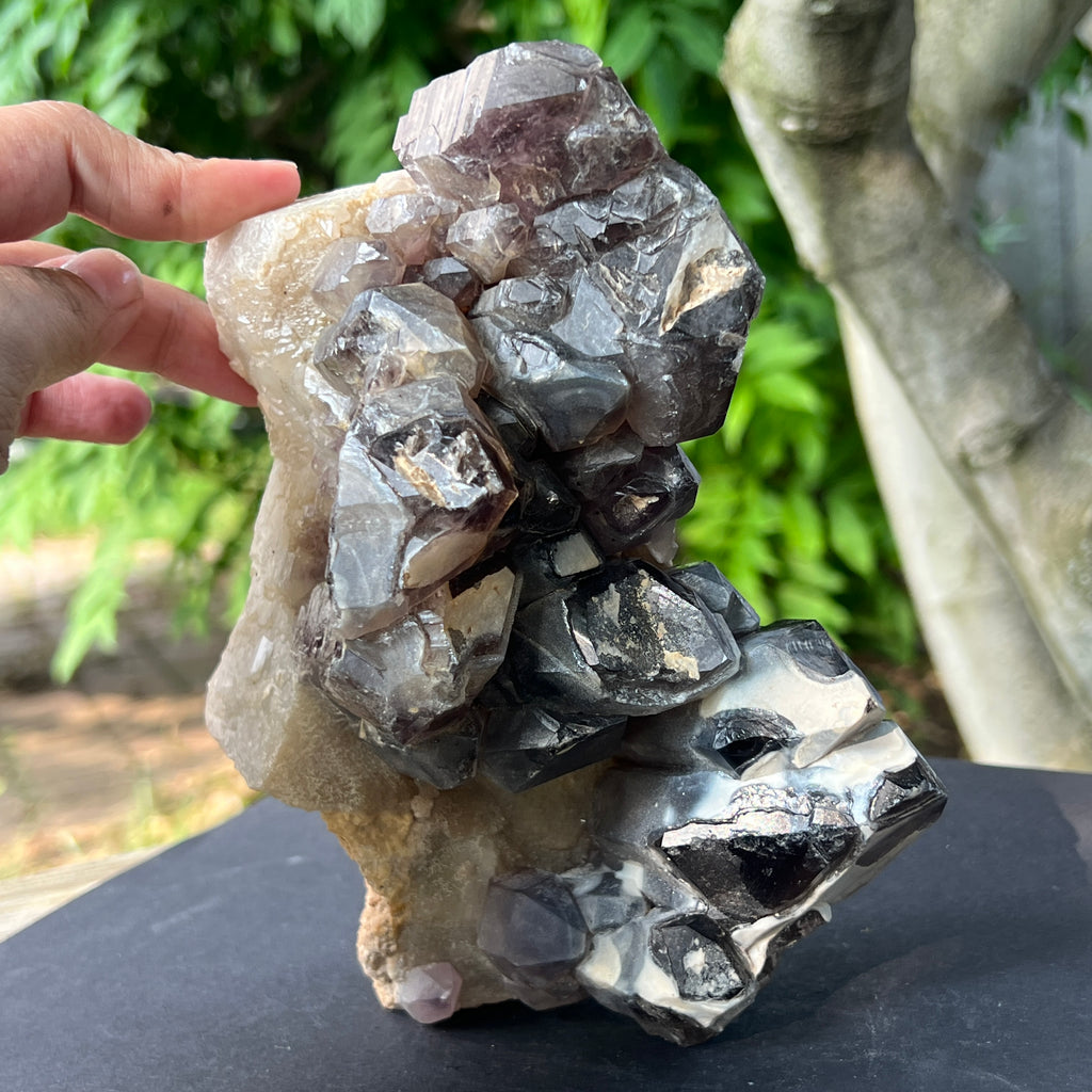 Specimen cluster cuart fumuriu m2, pietre semipretioase - druzy.ro 5 