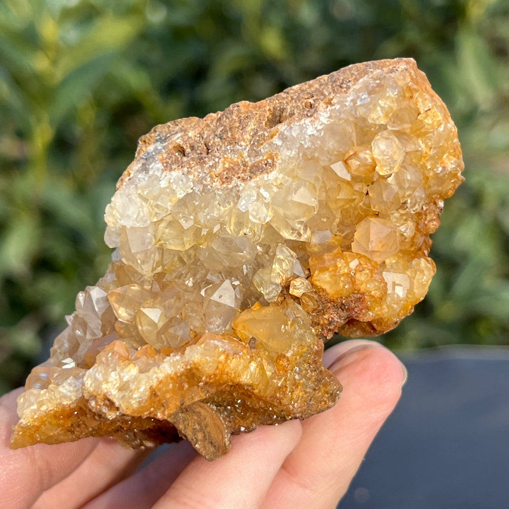 Cluster cuart lamaie Zambia, golden healer model 56, pietre semipretioase - druzy.ro 15 