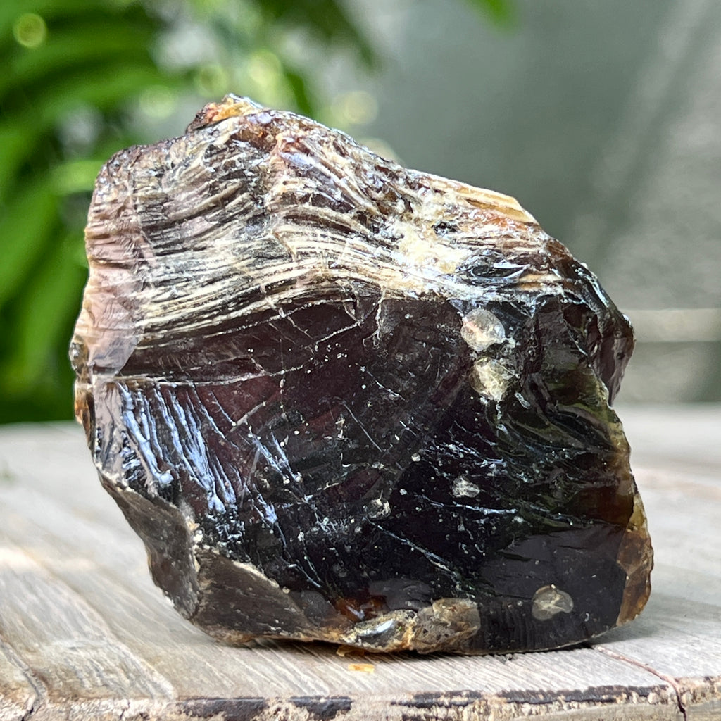 Chihlimbar fosil din Indonezia – Rășină naturală | Model 5, pietre semipretioase - druzy.ro 4 