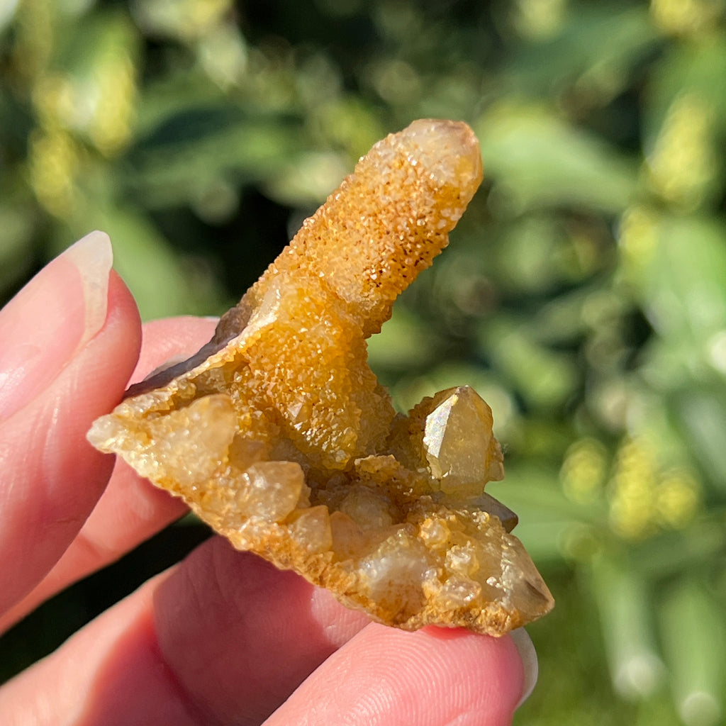 Cluster lemonit / cuart spirit solar Africa de Sud model 11, pietre semipretioase - druzy.ro 2 