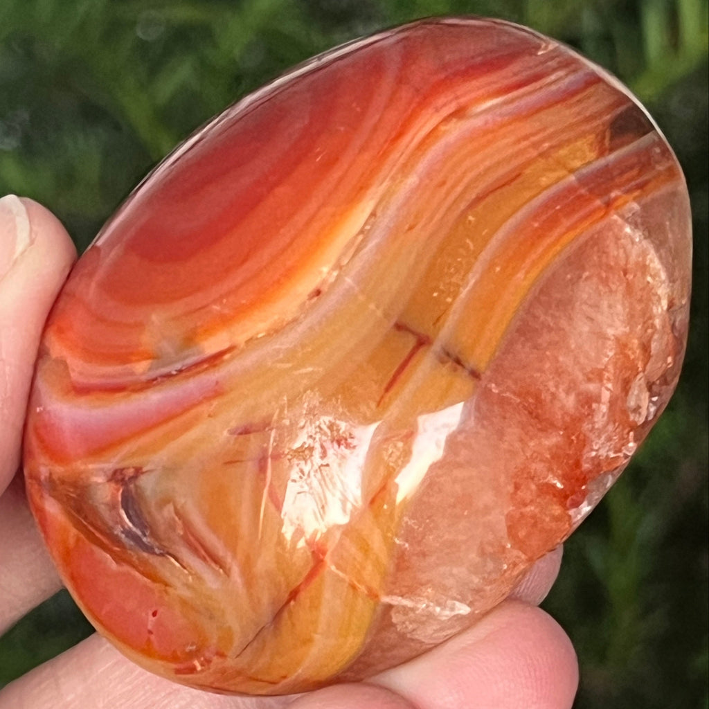 Black Friday - Reduceri -  Promotie