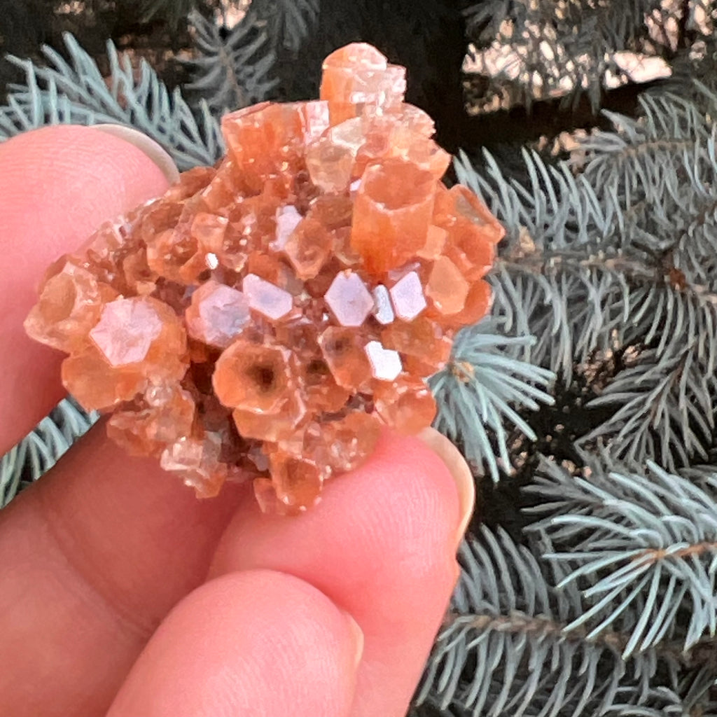 Cluster cristal aragonit din Maroc model 6, druzy.ro, pietre semipretioase 3