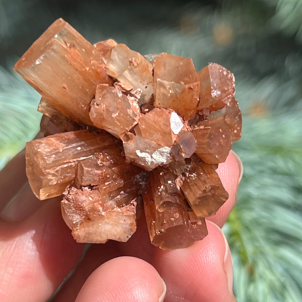 Cluster cristal aragonit din Maroc model 7, druzy.ro, cristale 3