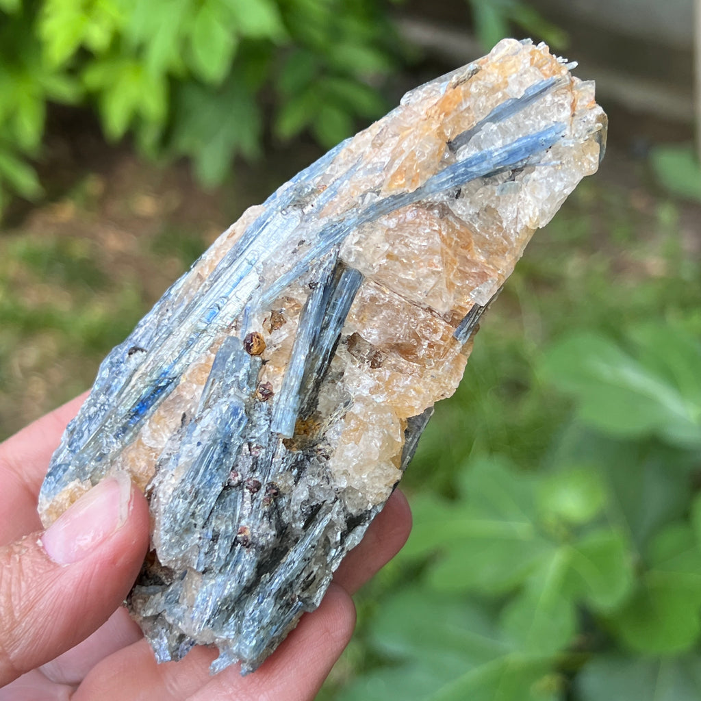Kianit albastru (Cianit) piatra bruta din Zimbabwe model 14, pietre semipretioase - druzy.ro 6 