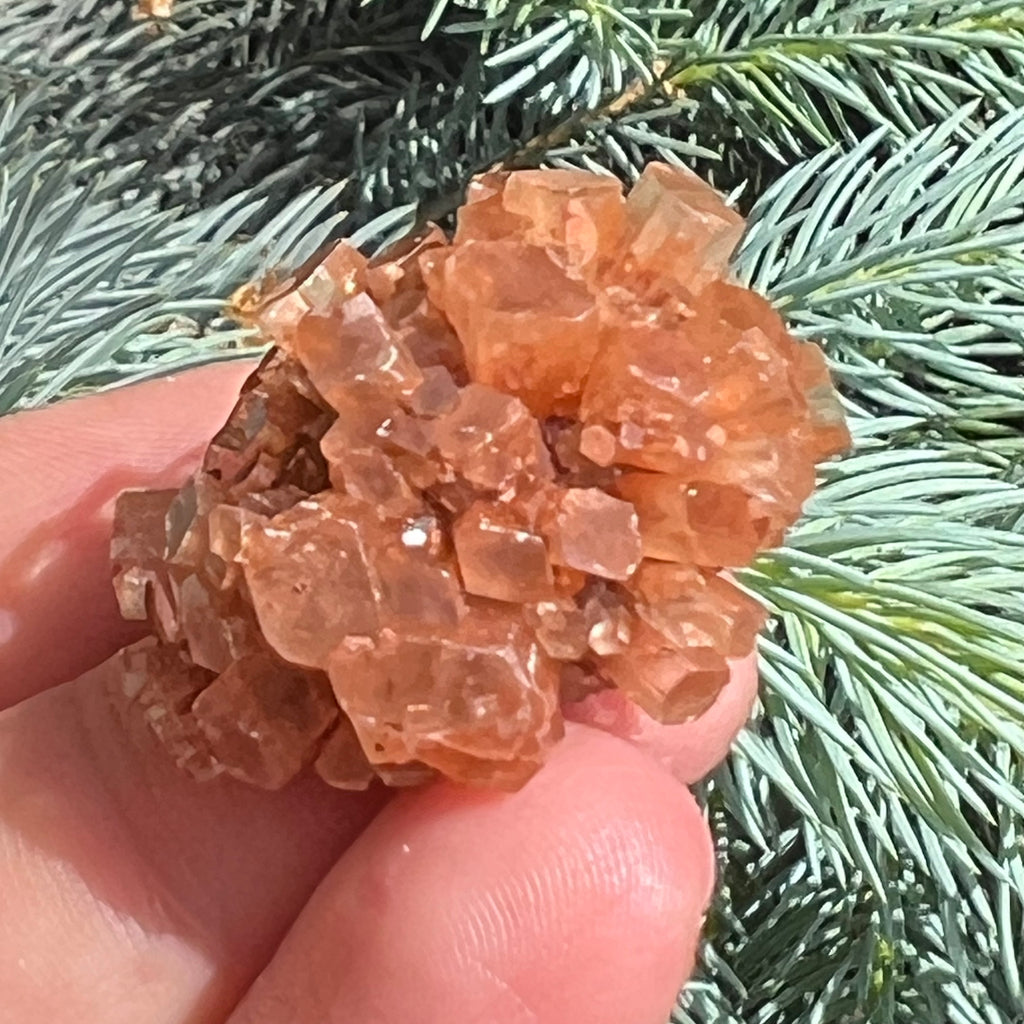 Cluster cristal aragonit din Maroc model 6, druzy.ro, cristale 2