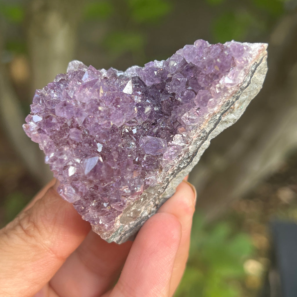 Cluster ametist model 28, pietre semipretioase - druzy.ro 1 