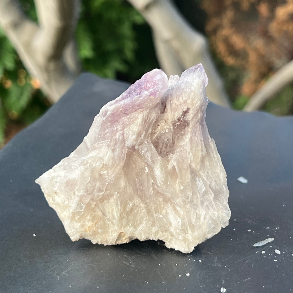 Cluster ametist sweet model 5a/7, din Zambia, druzy.ro, cristale 2