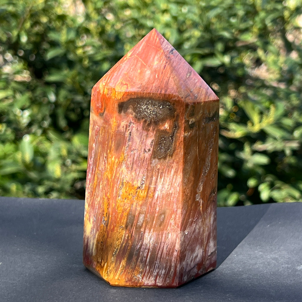 Obelisc lemn pietrificat m2, pietre semipretioase - druzy.ro 3 