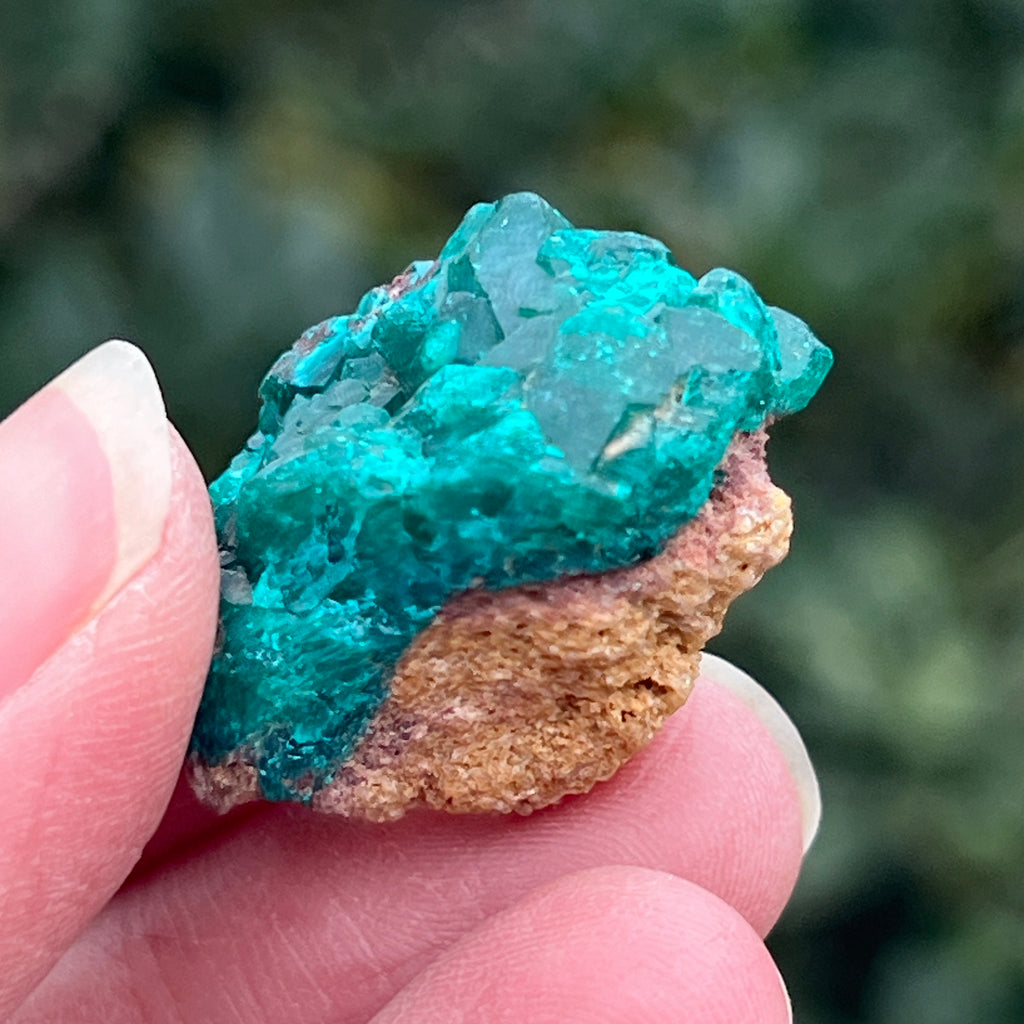 Dioptaz cluster din Congo model 20, pietre semipretioase - druzy.ro 5 