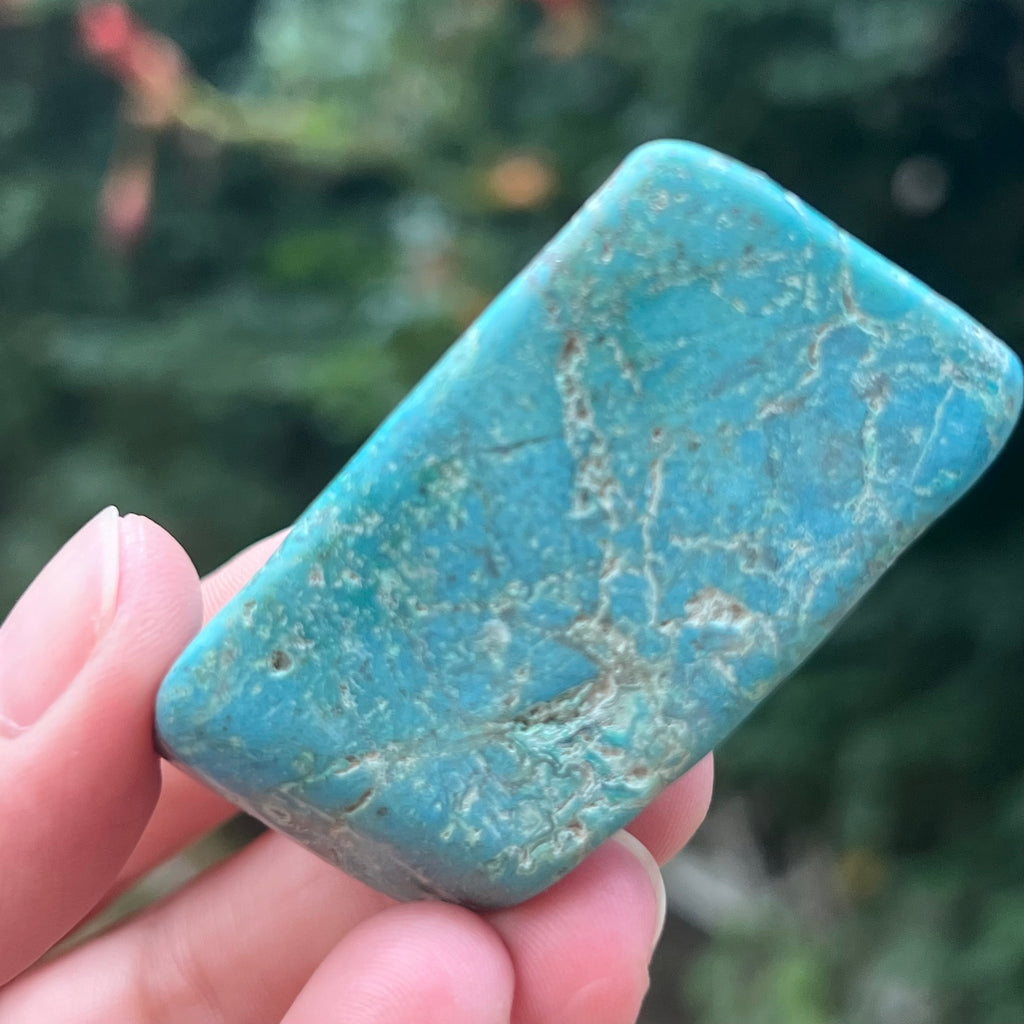 Forma libera/palmstone Shattuckite m2, druzy.ro, pietre semipretioase 2