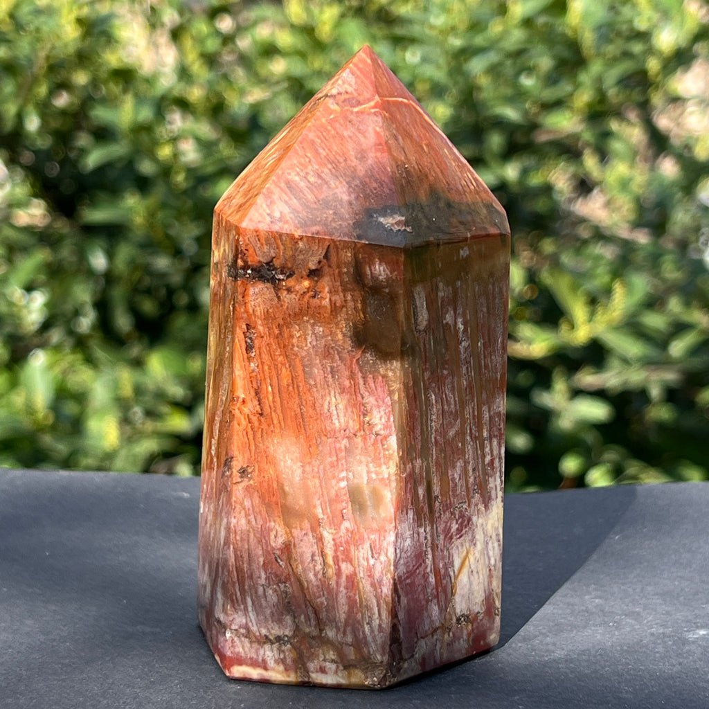 Obelisc lemn pietrificat m2, pietre semipretioase - druzy.ro 6 