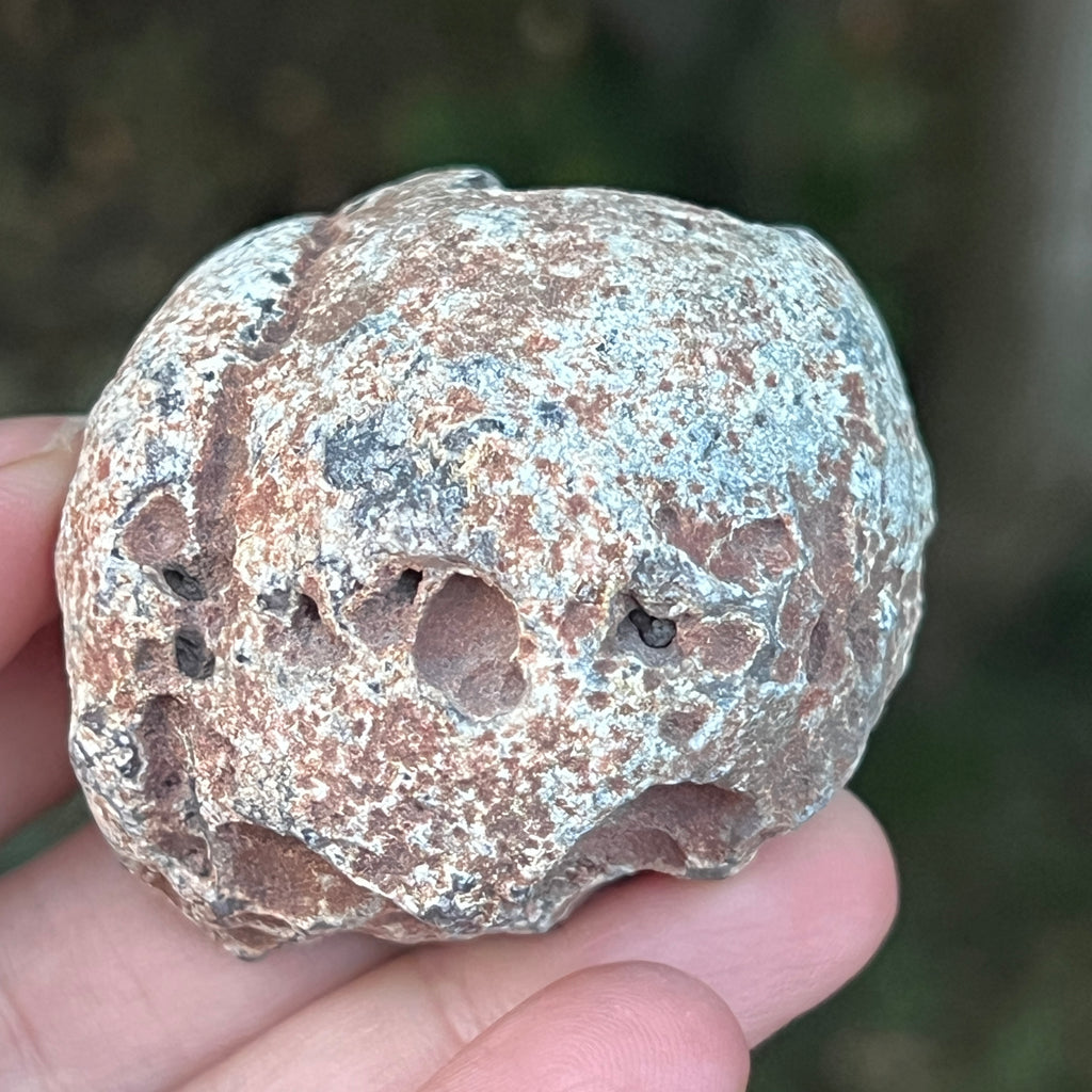 Agat de Botswana, nodul agat river model 8, pietre semipretioase - druzy.ro 4 