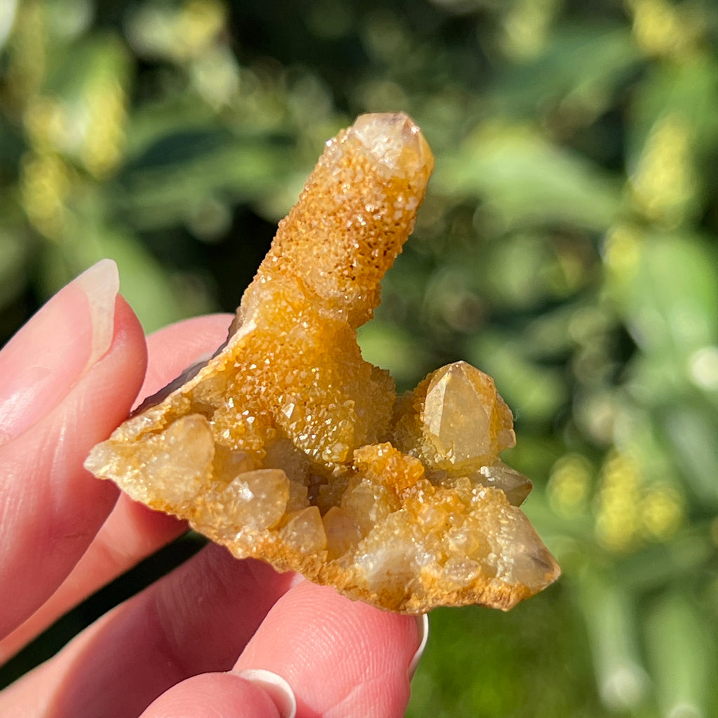 Cluster lemonit / cuart spirit solar Africa de Sud model 11, pietre semipretioase - druzy.ro 4 