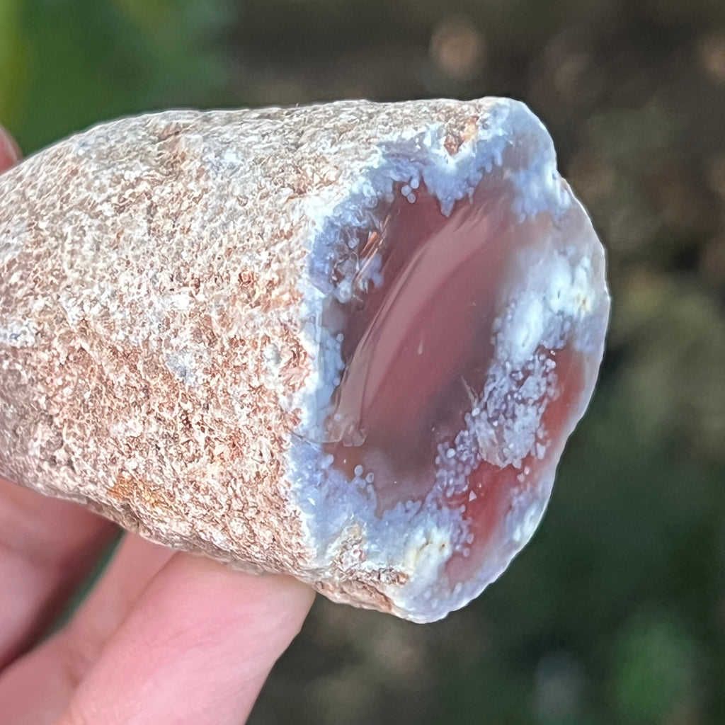Agat de Botswana, nodul agat river model 6, pietre semipretioase - druzy.ro 6 