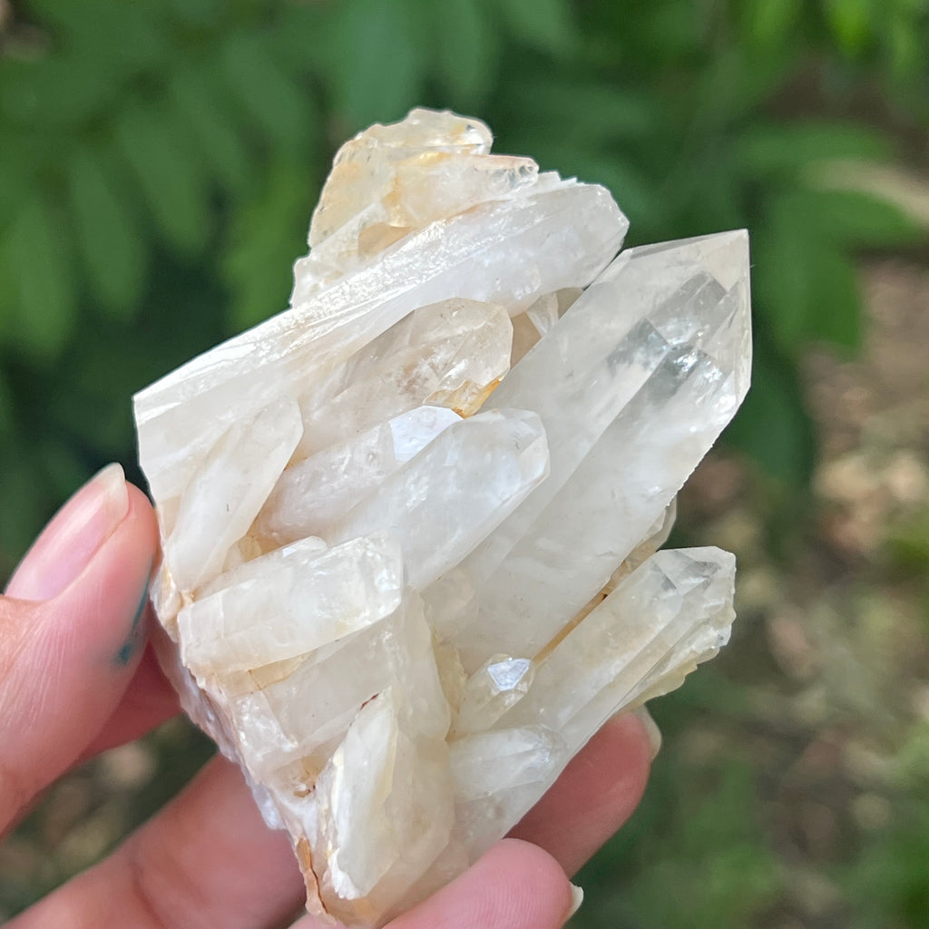 Cluster cuart incolor, floare de mina m21, pietre semipretioase - druzy.ro 3 