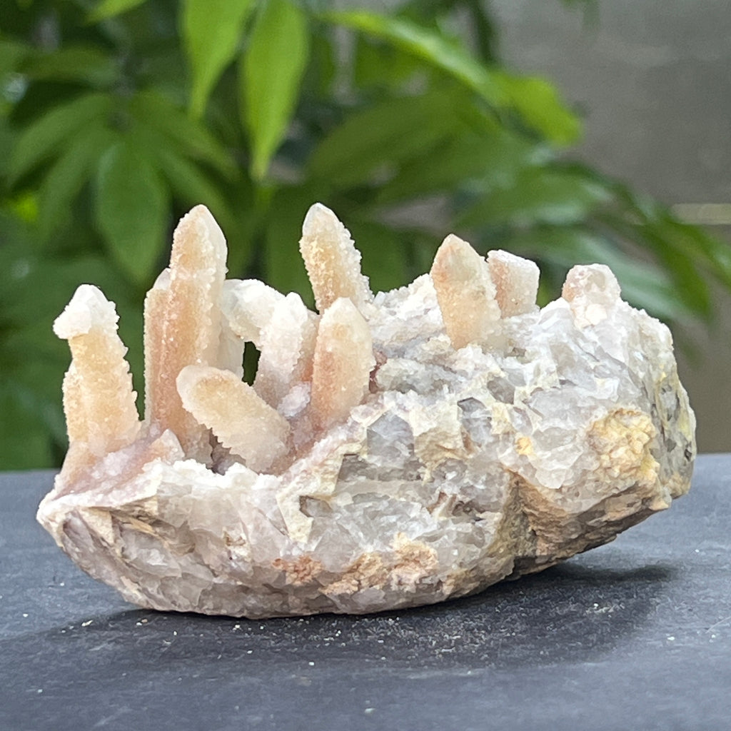 Cluster cuart spirit stalactit | Model 10, pietre semipretioase - druzy.ro 3 