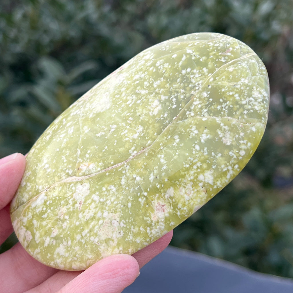 Serpentin galben palmstone XL5, pietre semipretioase - druzy.ro 2 