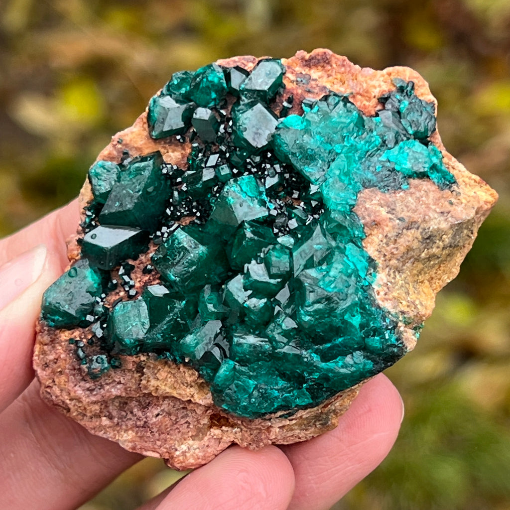 Dioptaz cluster din Congo model 8, pietre semipretioase - druzy.ro 4 