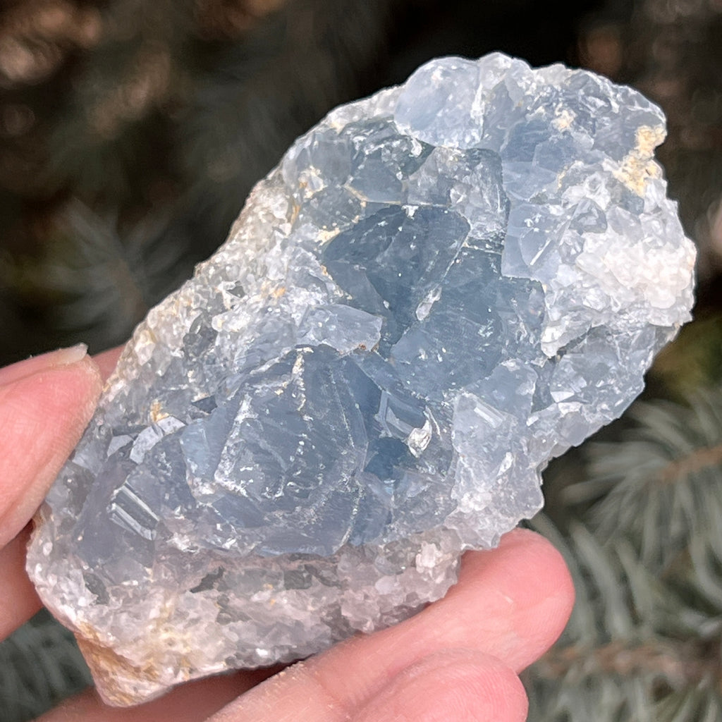 Celestit/celestina cluster m2, pietre semipretioase - druzy.ro 1 