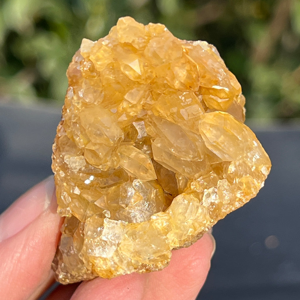 Cluster cuart lamaie Zambia, golden healer model 51, pietre semipretioase - druzy.ro 2 