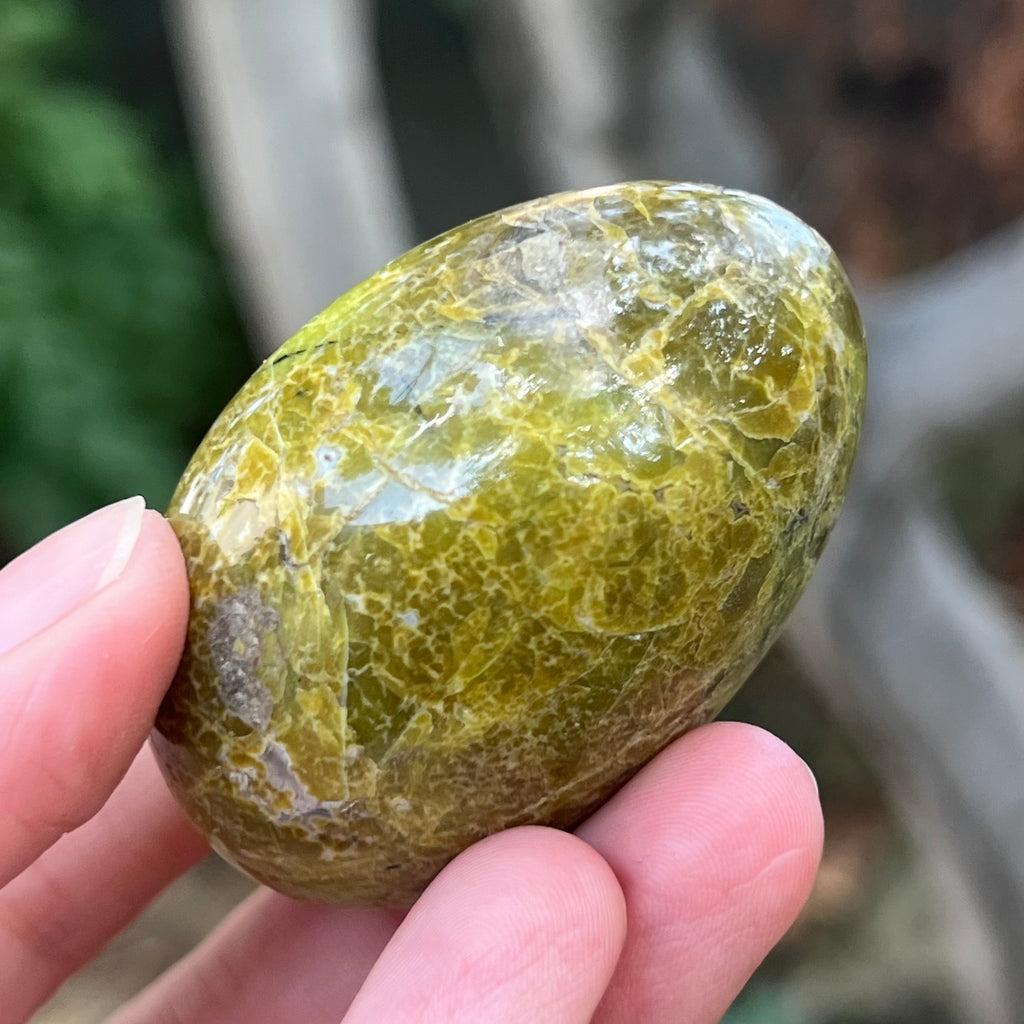 Opal verde palmstone m4, pietre semipretioase - druzy.ro 5 