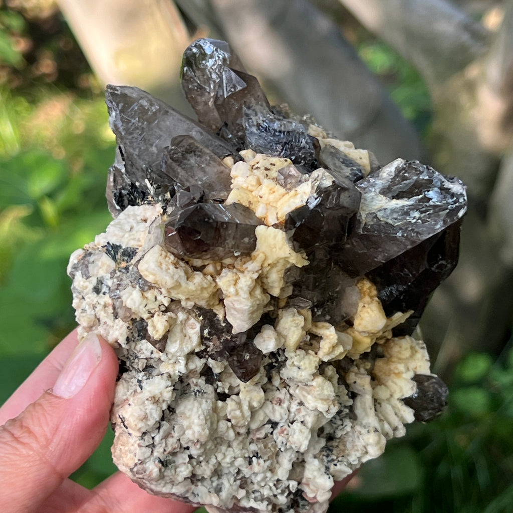 Specimen cluster cuart fumuriu m5, pietre semipretioase - druzy.ro 8 