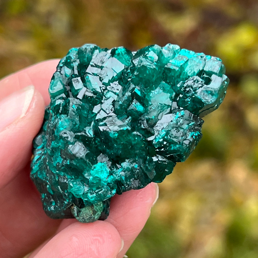 Dioptaz cluster din Congo model 5, pietre semipretioase - druzy.ro 3 