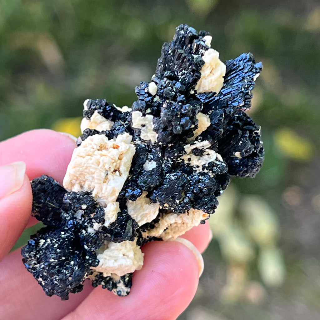 Cluster turmalina neagra model 16 din Erongo, Namibia, pietre semipretioase - druzy.ro 6 