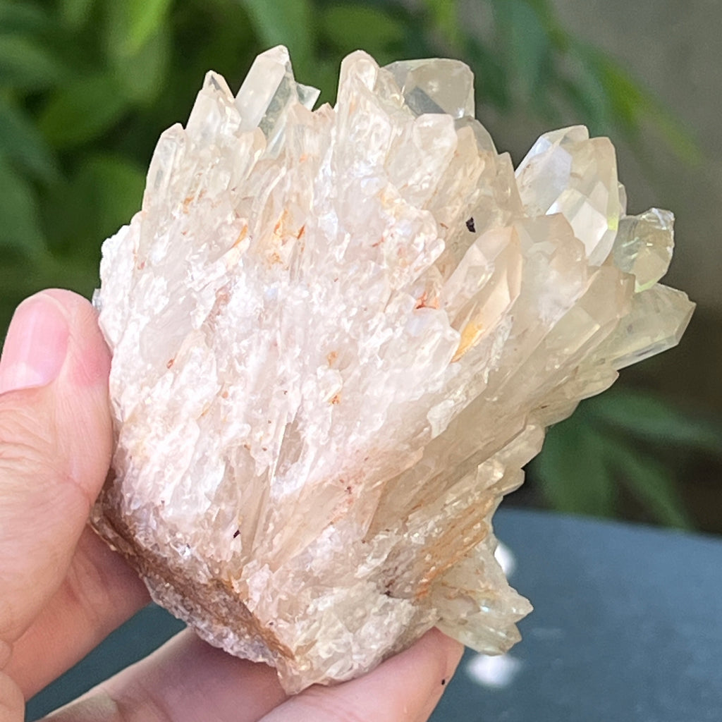 Citrin din Congo – specimen natural, netratat | Model 16, pietre semipretioase - druzy.ro 5 