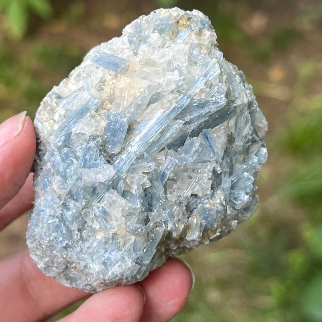 Kianit albastru (Cianit) piatra bruta din Zimbabwe model 1, pietre semipretioase - druzy.ro 1 