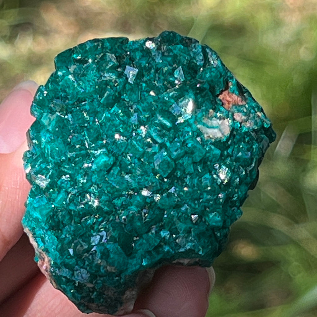 Dioptaz cluster din Congo model 6, pietre semipretioase - druzy.ro 2 