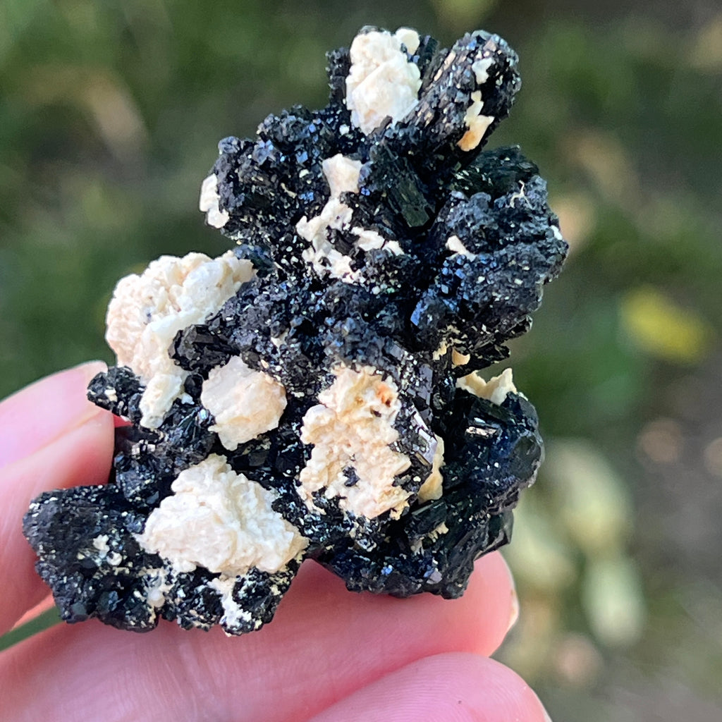 Cluster turmalina neagra model 16 din Erongo, Namibia, pietre semipretioase - druzy.ro 3 