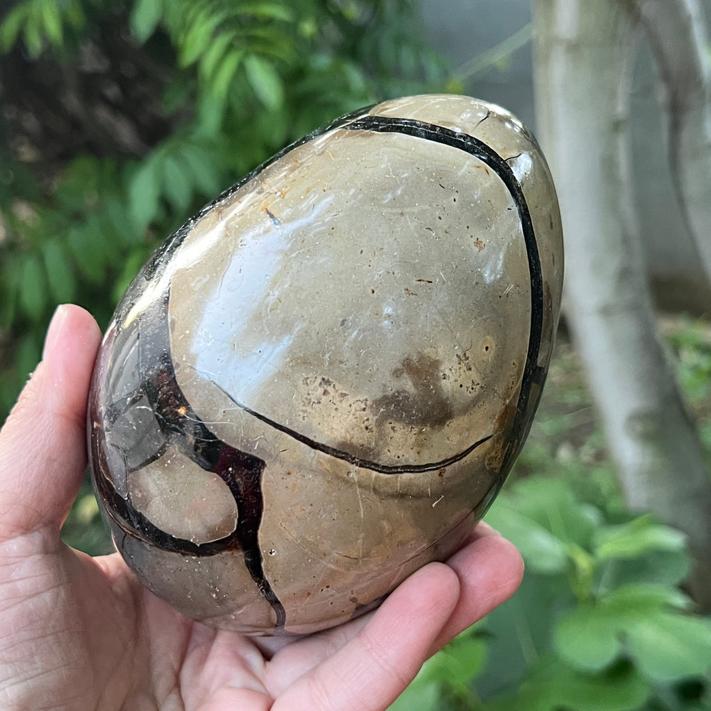 Ou Septaria din Madagascar, piatra dragonului, XL1, pietre semipretioase - druzy.ro 4 