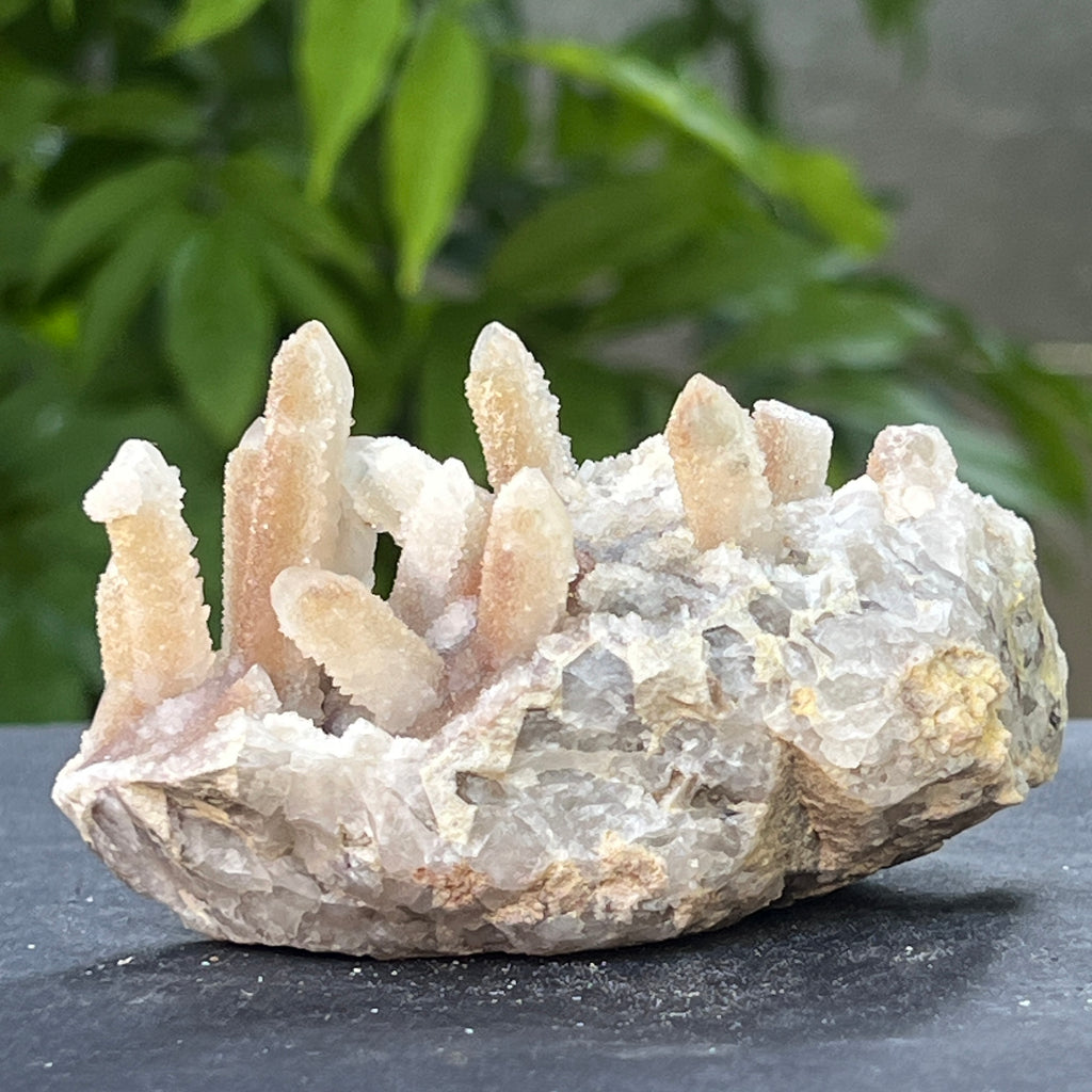 Cluster cuart spirit stalactit | Model 10, pietre semipretioase - druzy.ro 5 