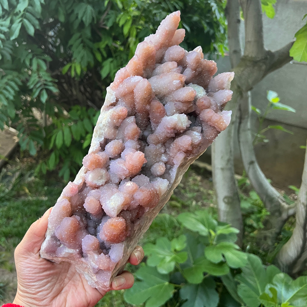 Specimen cluster cuart cactus / spirit ametist liliac Africa de Sud model XXL1, pietre semipretioase - druzy.ro 2 