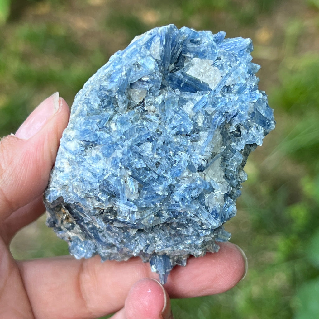 Kianit albastru (Cianit) piatra bruta din Zimbabwe model 5, pietre semipretioase - druzy.ro 2 