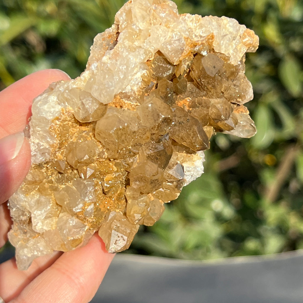 Cluster cuart lamaie Zambia, golden healer model 40, pietre semipretioase - druzy.ro 6 